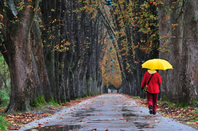 people walking in long alley at fall autumn season representing infinite concept and healthy lifestyle in nature